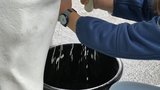 Am Cheese-Festival in Thun BE können Kinder und Erwachsene eine (Plastik-)Kuh melken.  (Bild: «die grüne» / Jürg Vollmer)