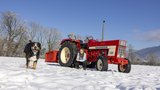 Der IHC 644 ist Vivienne Hausheers Traumtraktor.  (Bild: «die grüne» / Gian Vaitl)