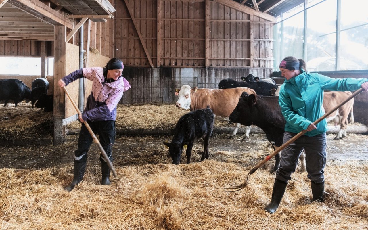 Das Schwestern-Duo Nina (links) und Lena Hitz gehören neu zum Team. «Viele Schultern tragen die Verantwortung», sagt Landwirtin Nina Hitz.  