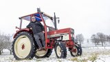 Der IHC 633 ist der TraumTraktor von Markus Lenz aus Buch TG.  (Bild: «die grüne» / Gian Vaitl)