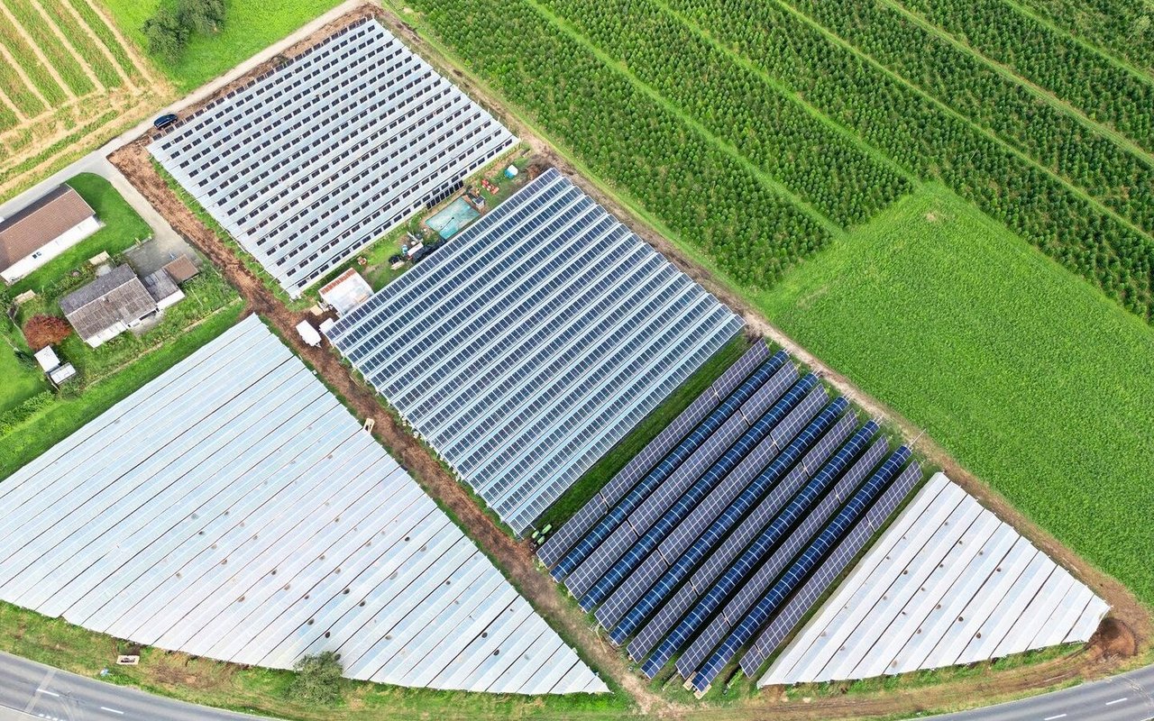 Die Beerenkulturen von Heinz Schmid  mit PV-Anlagen. Unter den weissen Planen wachsen Beeren mit konventionellem Hagel- und Sonnenschutz.