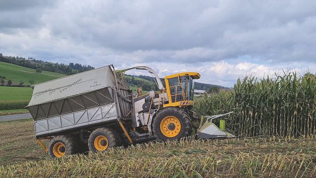 Mit dem Ladebunker kann auf ein nebenherfahrendes Fahrzeug für den Abtransport verzichtet werden.  Dies schont die Bodenstruktur. Bild: Martina Rüegger