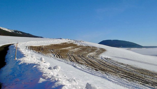 Mist und Gülle gehören weder auf schneebedeckte  noch auf gefrorene Böden. Foto: zVg