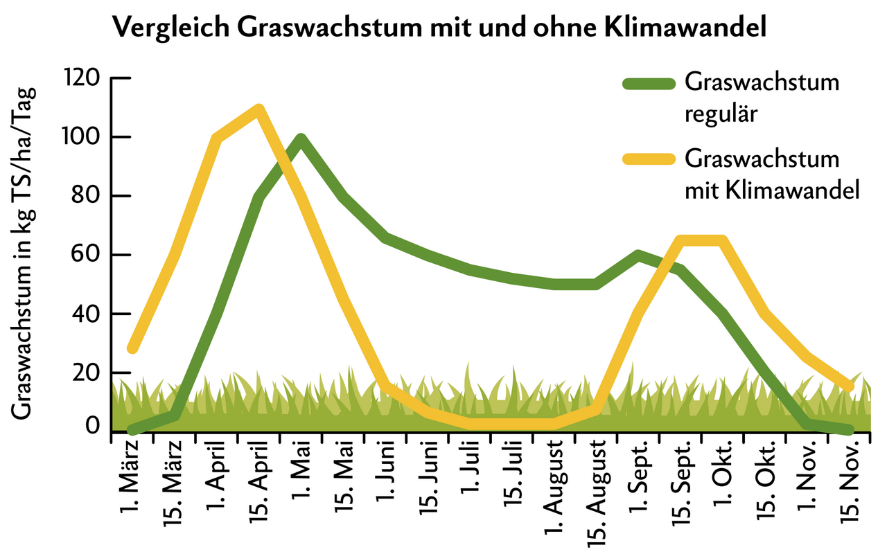 Grün: durchschnittlicher Verlauf des Graswachstums bis zum Jahr 2000. Gelb: bildet das Graswachstum mit klimawandelbedingten Trockenperioden ab.