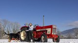 Der IHC 644 ist Vivienne Hausheers Traumtraktor.  (Bild: «die grüne» / Gian Vaitl)