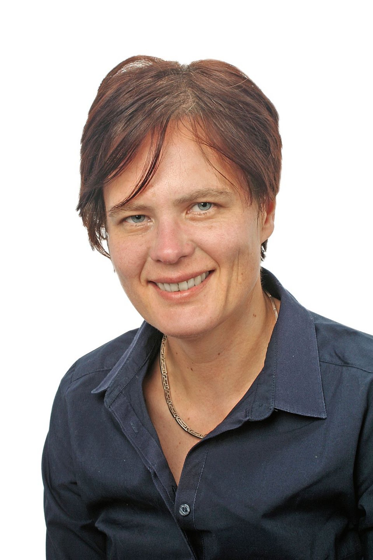 Kommentar von  Dominique Mazzi