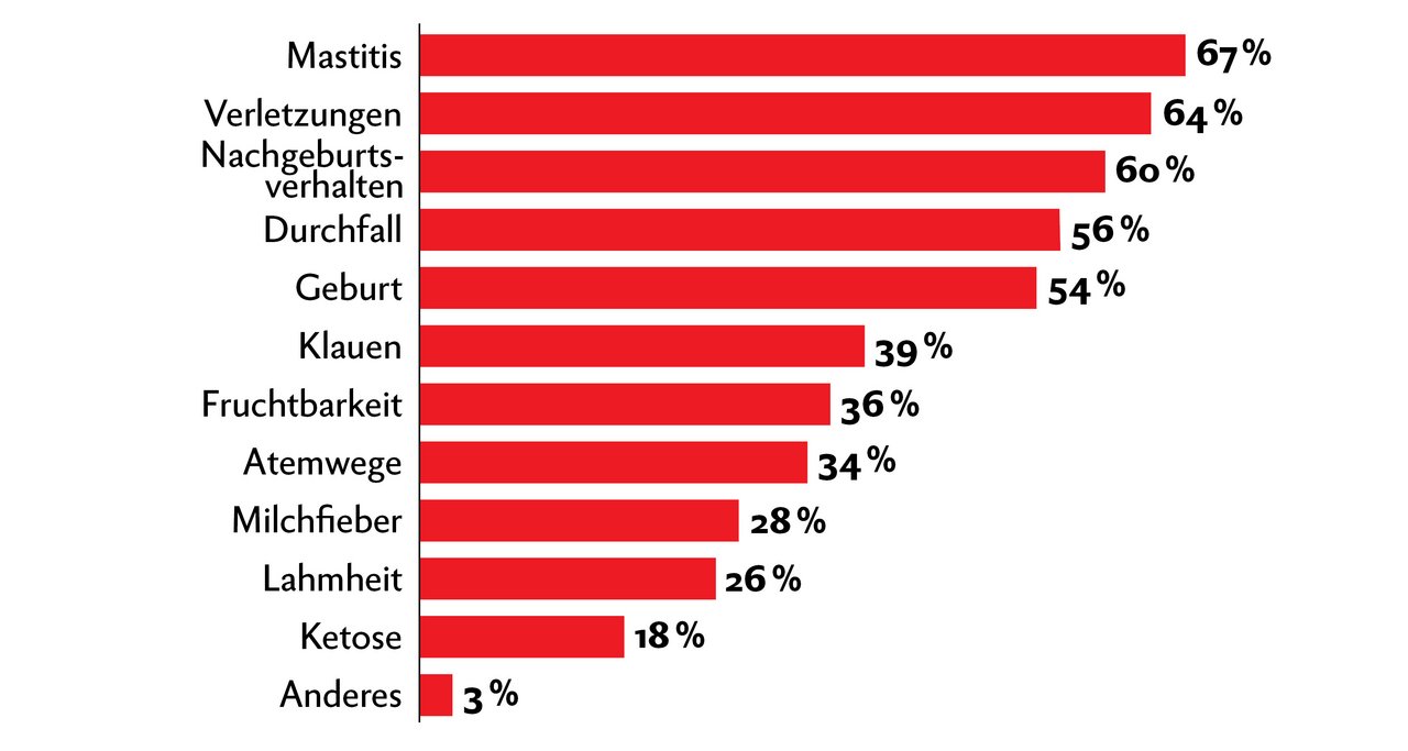 Diejenigen Betriebe, welche Homöopathie einsetzen, wenden die Globuli am häufigsten gegen Mastitis an.  Bei dieser Frage waren Mehrfach-Nennungen möglich. Grafik: Nicole Geiser