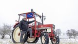 Der IHC 633 ist der TraumTraktor von Markus Lenz aus Buch TG.  (Bild: «die grüne» / Gian Vaitl)
