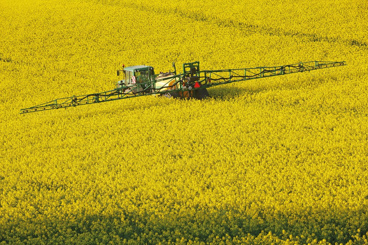 Bilder wie hier gehören schweizweit grösstenteils der Vergangenheit an: Eine Spritzung in die Vollblüte ist nicht nötig. (Bild Adobe Stock)