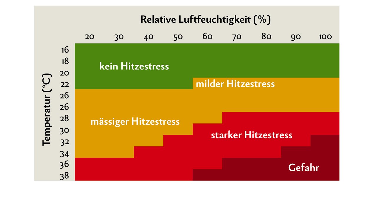 Kühe fühlen sich bei Temperaturen zwischen –5 und +18 Grad am wohlsten.  Bereits bei Temperaturen ab +22 Grad können sie in Hitzestress geraten. Grafik: Nicole Geiser/Quelle: Thom/Zimbelmann und Collier 