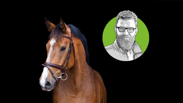 Pferd mit Zaumzeug vor schwarzem Hintergrund.