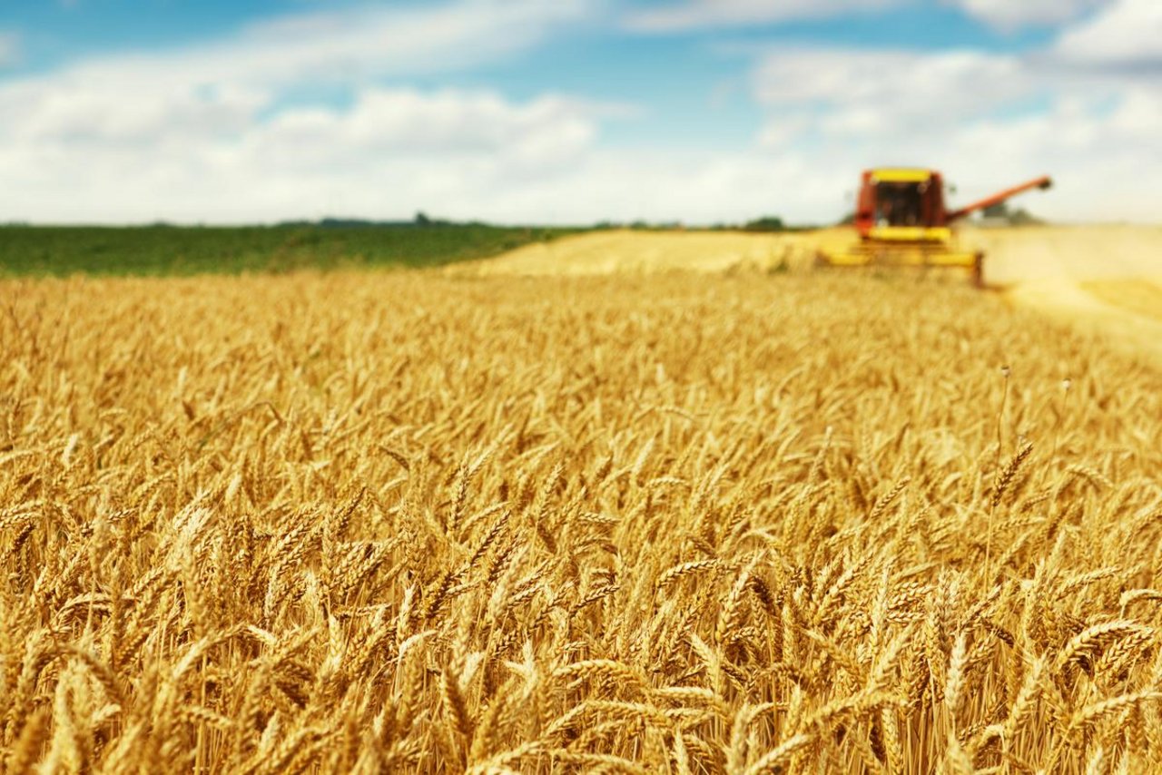 Landwirte müssen sich gegen Hautkrebs mit Sonnencrème und angepasster Kleidung schützen. Bild: Fotolia