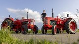 Die Traktoren Volvo BM 470 (rechts) und Volvo BM T810 (links) hat Hanspeter Seewer aus Schötz LU aufwändig restauriert.  (Bild: «die grüne» / Gian Vaitl)