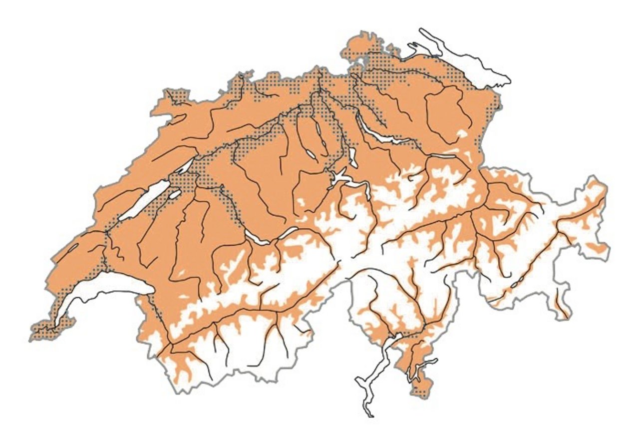 Verbreitung der Ringeltaube in der Schweiz. Zur Brutzeit = Ocker, im Winter = Blau, zur Zugzeit = Rot  Karte: Vogelwarte