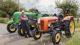 Zwei der zwölf Steyr-Traktoren von Kurt Bitzi: Der grüne Steyr 280 und der Steyr 188.  (Bild: «die grüne» / Pia Neuenschwander)