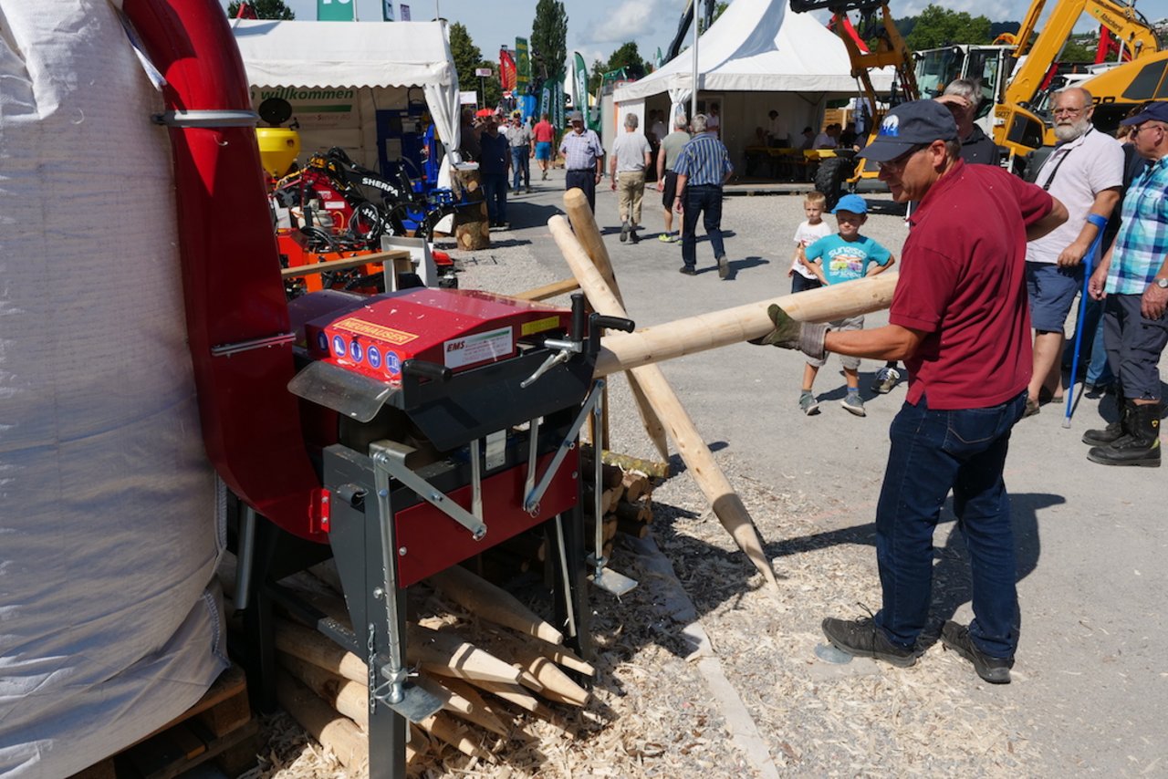 Diese Entrindungsmaschine hat auch eine Anspitzeinrichtung für robuste Holzpfähle. Bild: Beat Schmid