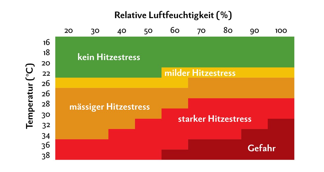 1. Hitzestress.  Grafik: Nicole Geiser/Quelle: Thom/Zimbelmann und Collier