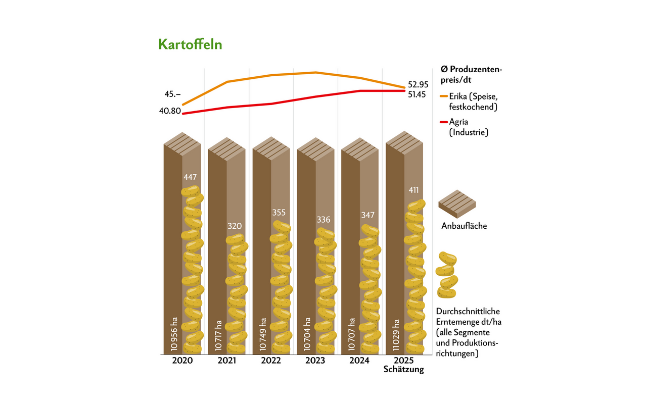 Aufgrund der hohen Erträge wurden die Preise innerhalb des Preisbandes bei Speisekartoffeln leicht gesenkt. Die Preise bei den Industriekartoffeln blieben stabil.