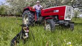 Der Steyr 650 ist Urs Schärs Traumtraktor.  (Bild: «die grüne» / Gian Vaitl)
