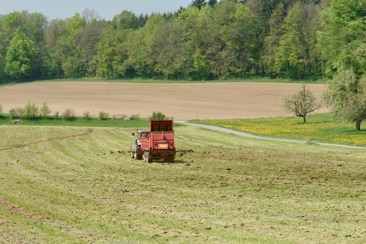 Hofdüngergaben im Herbst sollten besser auf Wiesen  als auf dem Acker ausgebracht werden. Foto: zVg
